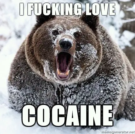 Another Reason To Fear bears Love Cocaine